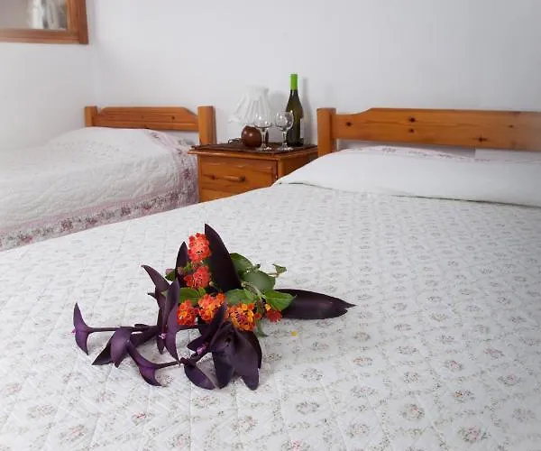 Emi House 3*